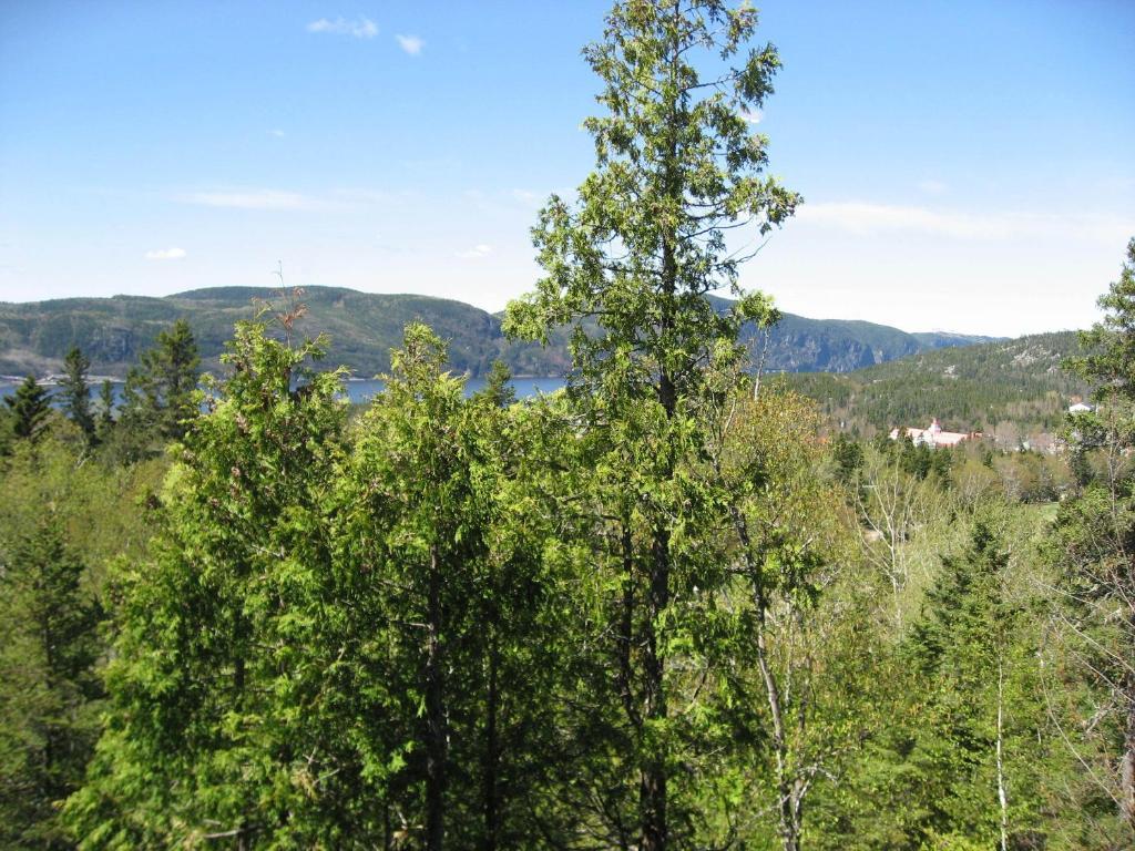 Chalet De La Montagne Villa Tadoussac Buitenkant foto